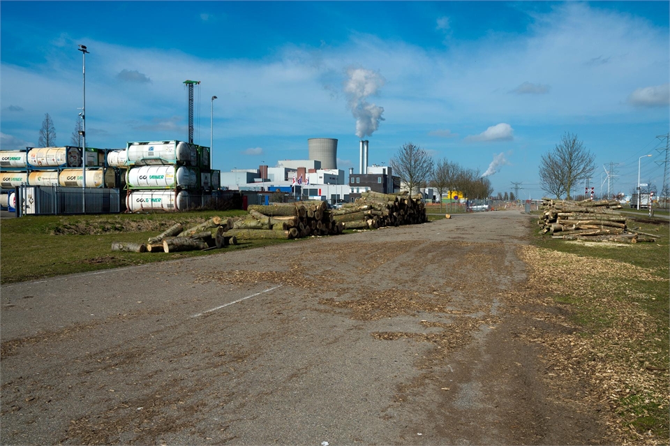 Noord-Brabant - Havengebied Moerdijk: foto van weg met in de verte opslagtanks en gerooide bomen.