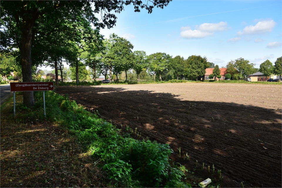 Sint-Michielsgestel - Nieuw Laar Berlicum: foto van akkerland met bomen die een schaduw op het land werpen.