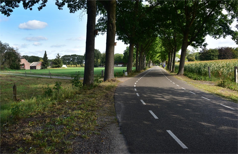 Sint-Michielsgestel - Nieuw Laar Berlicum: foto van een lokale weg omzoomd door bomen.