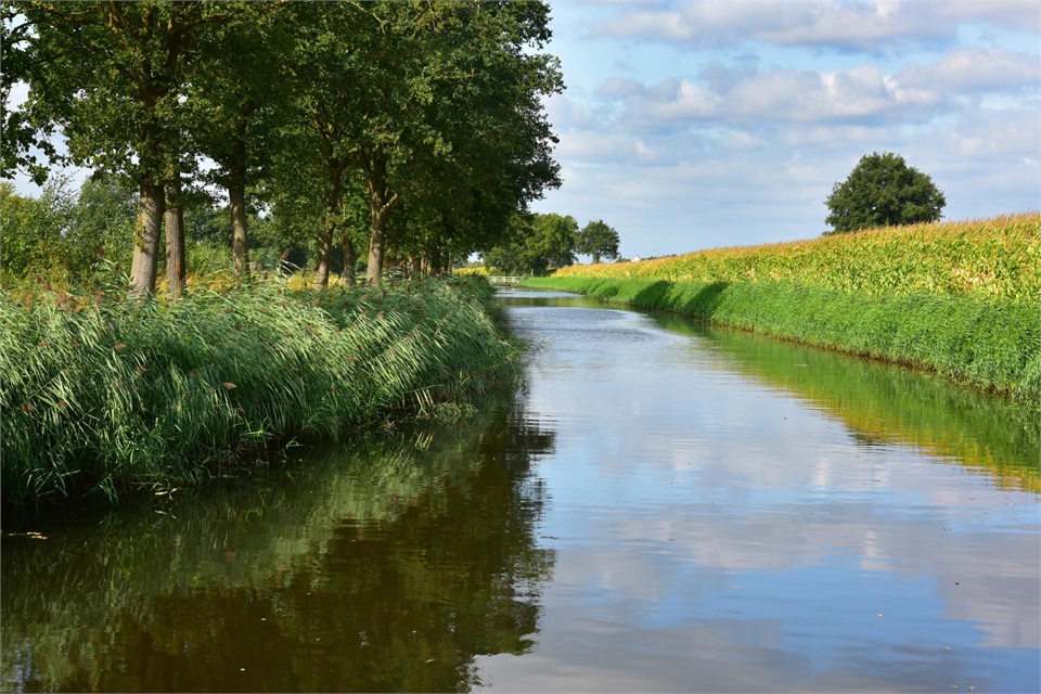 Sint-Michielsgestel - Nieuw Laar Berlicum: foto van vaart met links bomen en rechts een dijk.